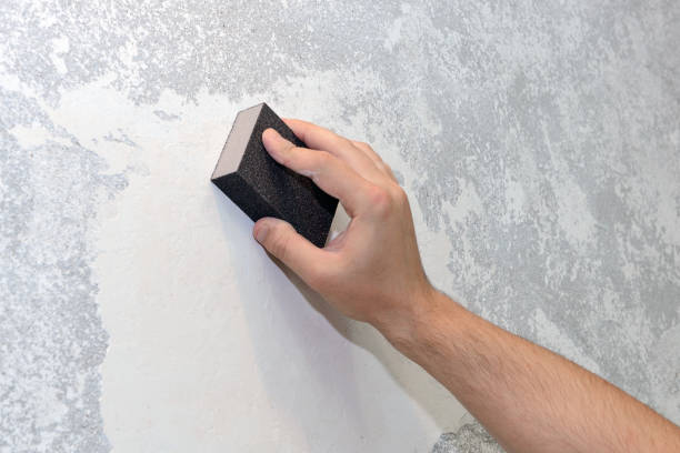Best Real Estate Mold Inspection  in Chardon, OH