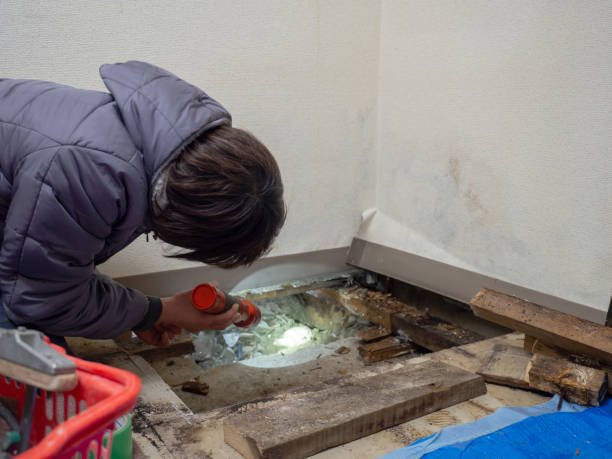 Chardon, OH Mold Removal Company