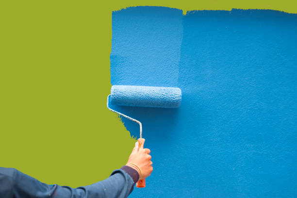 Best Basement Mold Removal  in Chardon, OH
